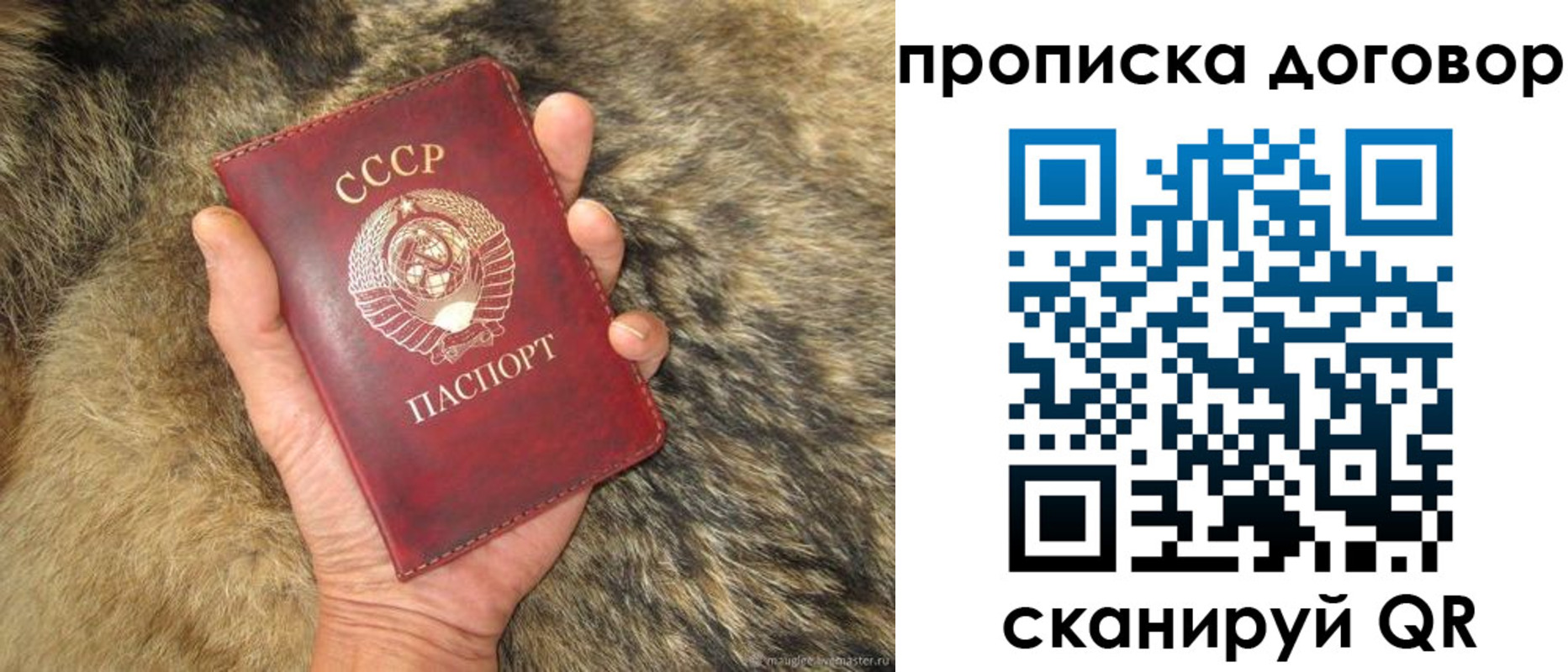 прописка регистрация в Бавлах